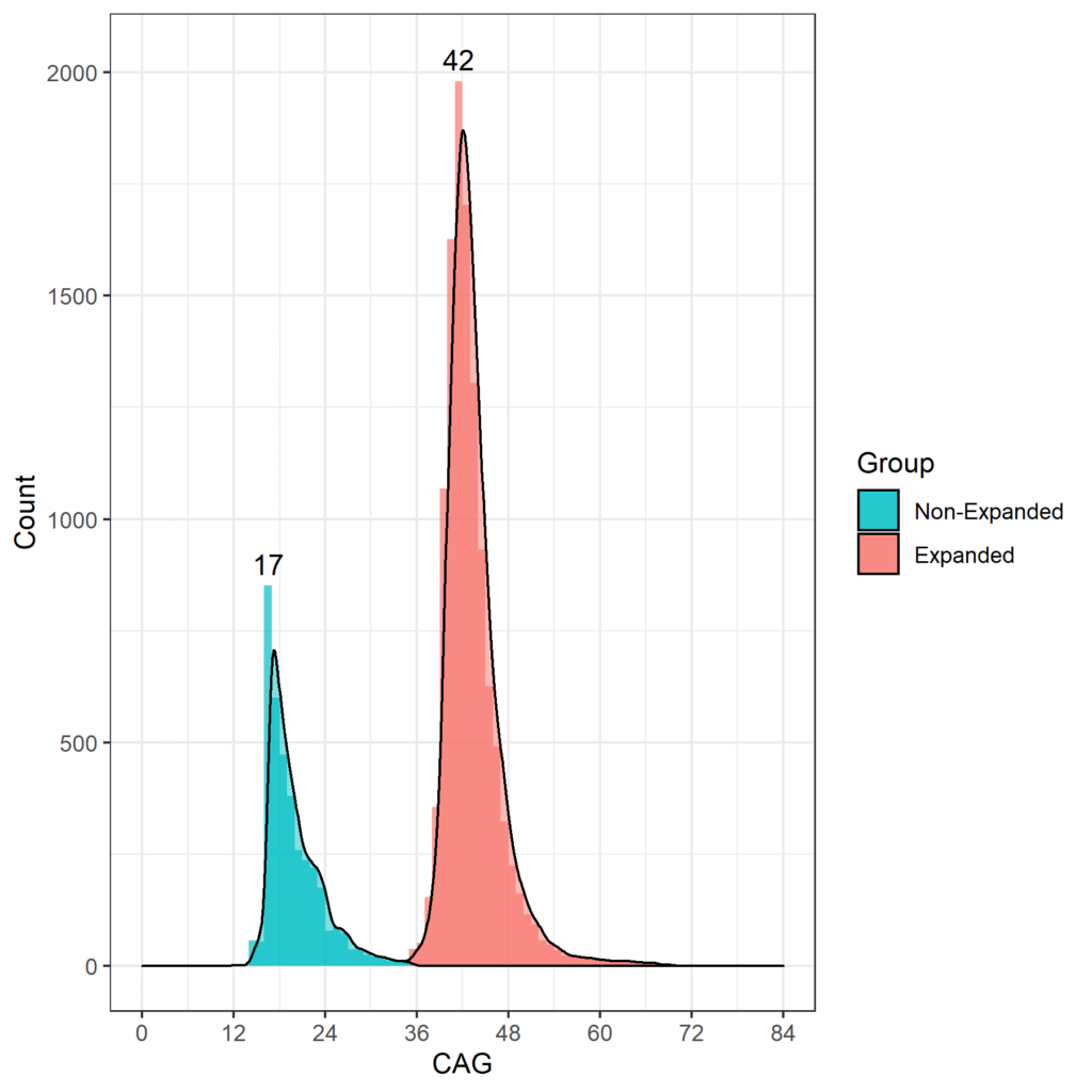 CAG Speed Up Statistics and Results